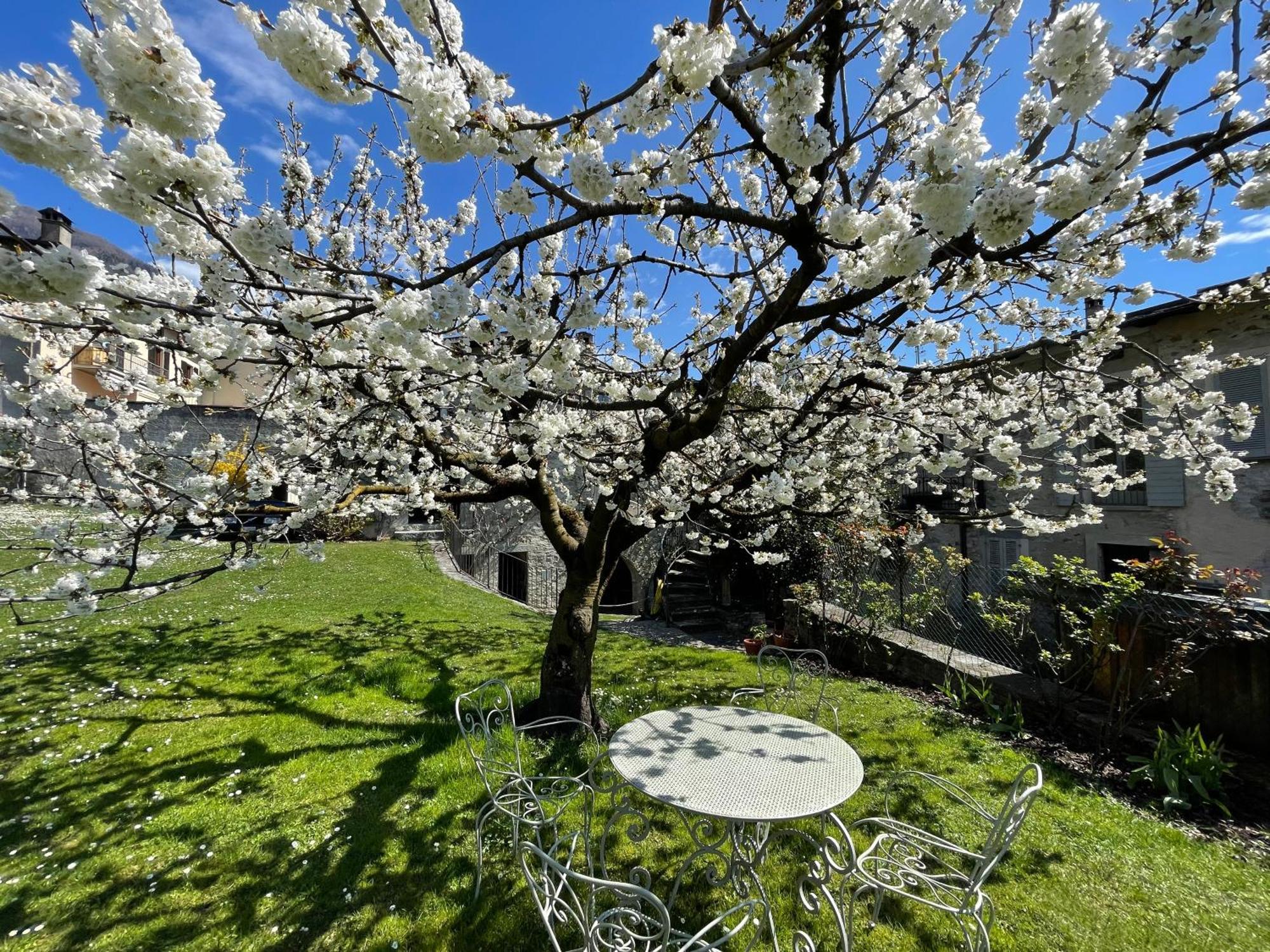 San Bernardo  Piano Nobile Al Roseto Del Dragoヴィラ エクステリア 写真