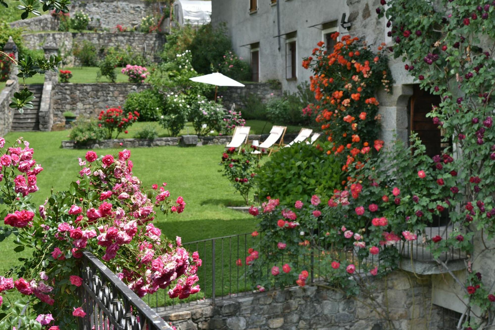 San Bernardo  Piano Nobile Al Roseto Del Dragoヴィラ エクステリア 写真